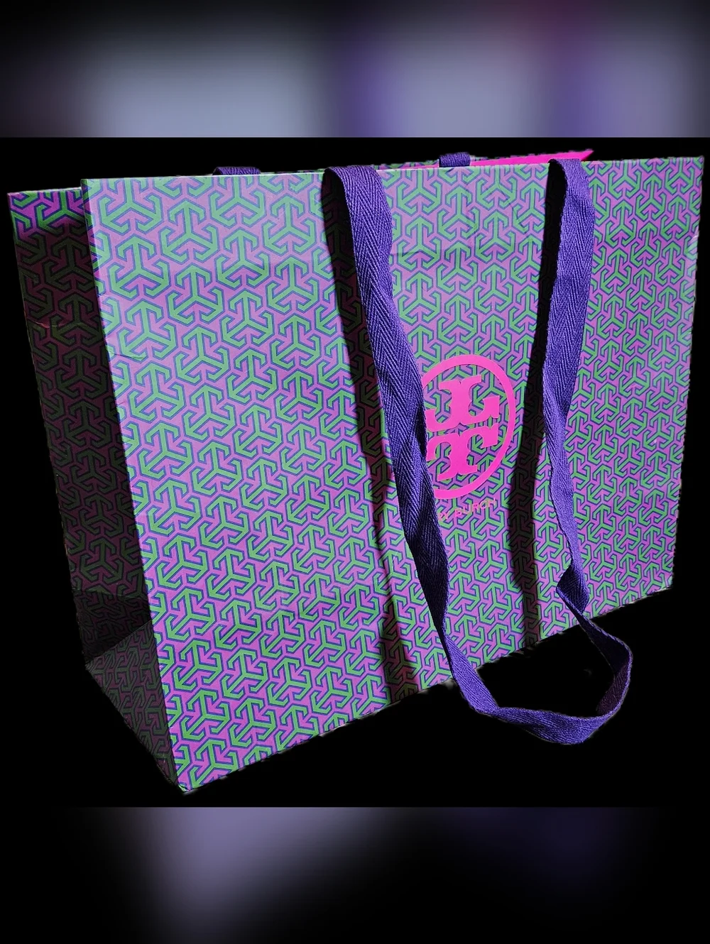 RARE Tory Burch XL Shopping Gift Bag Purple Green Pink Boutique Packaging Tote